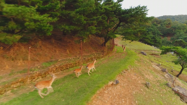 ▲EBS '한국기행' 경남 고성(사진제공=EBS1)