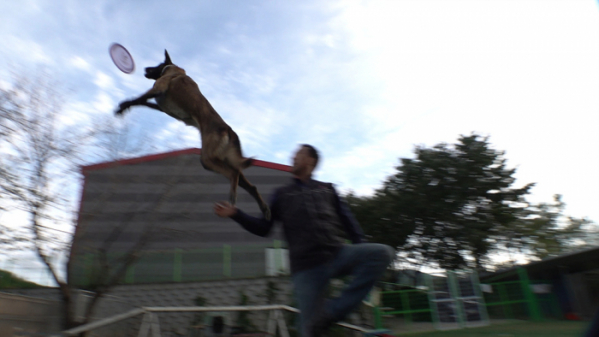 ▲'극한직업' 경찰견 훈련사(사진제공=EBS1)