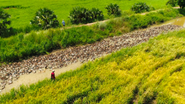 ▲'세계테마기행' 캄보디아(사진제공=EBS1)