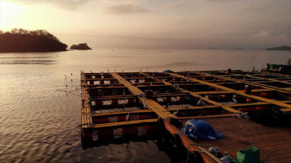 ▲'한국인의 밥상' 하동 참숭어(사진제공=KBS 1TV)