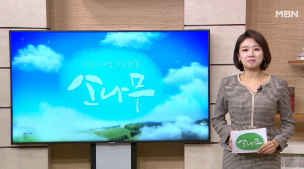 ▲'소나무'(사진제공=MBN)