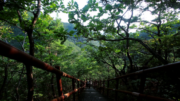 ▲'영상앨범 산'(사진제공=KBS 2TV)