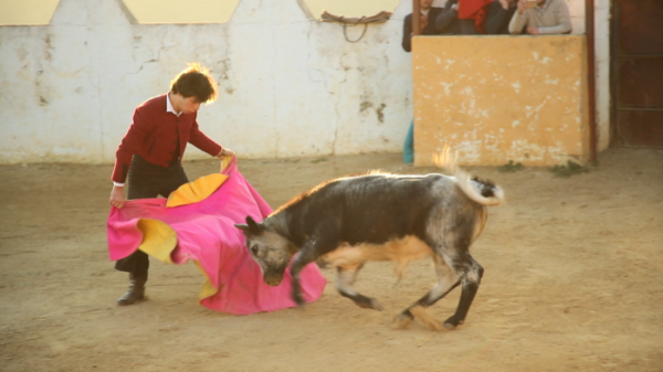 ▲'세계테마기행'(사진제공=EBS1)