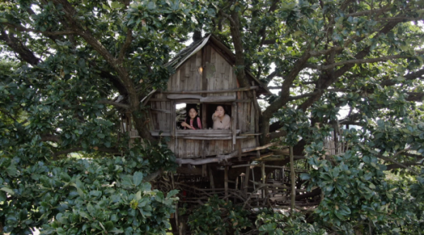 ▲'아주 각별한 기행'(사진제공=EBS1)