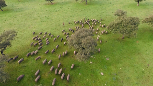 ▲'세계테마기행' 스페인