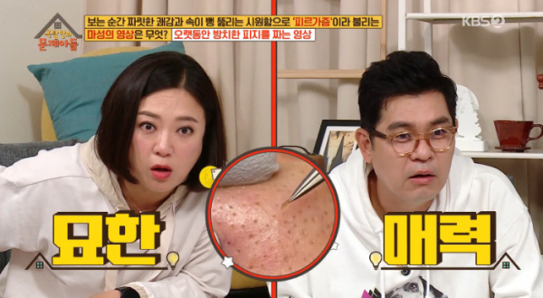 ▲피르가즘 영상(사진=KBS2 '옥탑방의 문제아들' 방송화면 캡처)