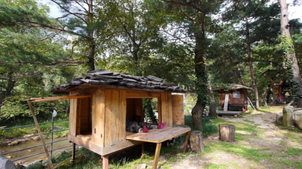 ▲EBS '한국기행'(사진제공=EBS1)