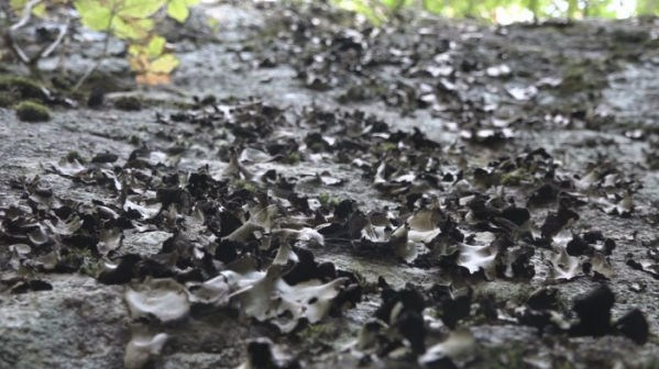 ▲EBS '극한직업'(사진제공=EBS1)