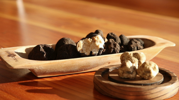 ▲'세계테마기행' 크로아티아(사진제공=EBS1)