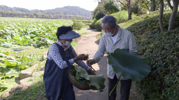 ▲'한국인의 밥상'(사진제공=KBS 1TV)