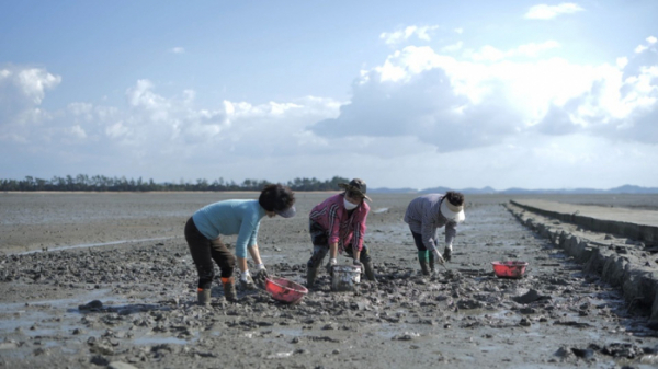 ▲'한국인의 밥상'(사진제공=KBS 1TV)