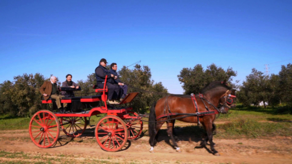 ▲'세계테마기행' 스페인(사진제공=EBS1)