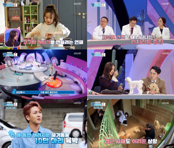 ▲‘펫 비타민’(사진제공=KBS 2TV)