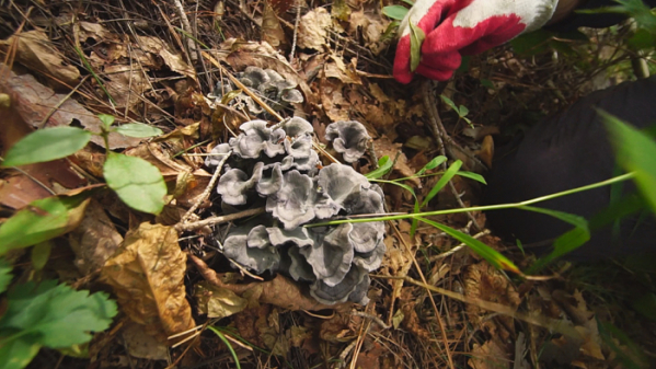 ▲EBS '한국기행'(사진제공=EBS1)