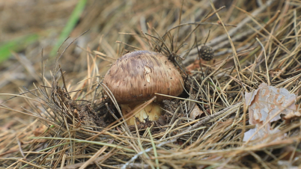 ▲EBS '한국기행'(사진제공=EBS1)