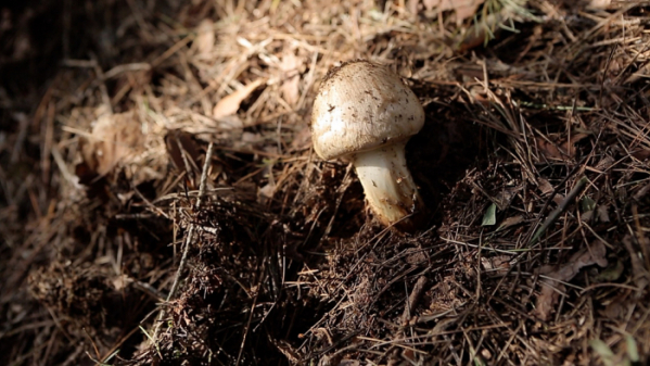 ▲'아주 각별한 기행'(사진제공=EBS1)