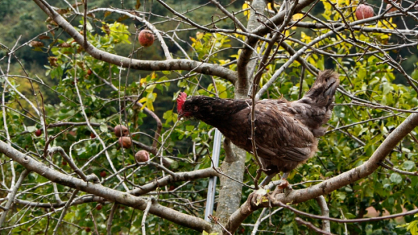 ▲'아주 각별한 기행'(사진제공=EBS1)