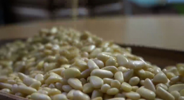 ▲‘관찰카메라 24’(사진제공=채널A)