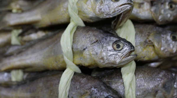 ▲‘관찰카메라 24’(사진제공=채널A)