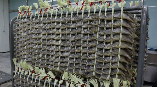 ▲‘관찰카메라 24’(사진제공=채널A)