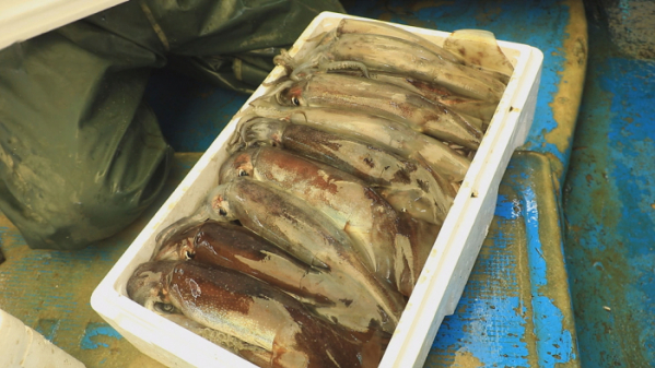 ▲EBS '한국기행'(사진제공=EBS1)