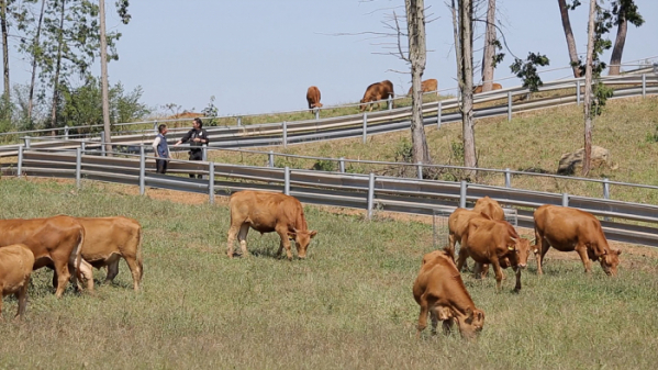 ▲'아주 각별한 기행'(사진제공=EBS1)