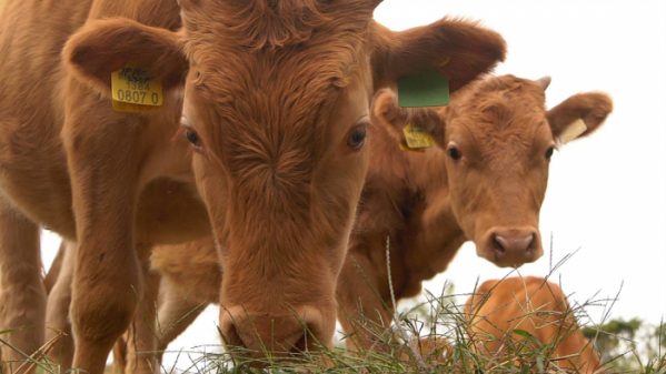 ▲'아주 각별한 기행'(사진제공=EBS1)