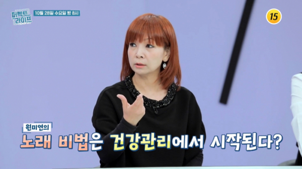 ▲'퍼펙트라이프' 원미경(사진제공=TV조선)