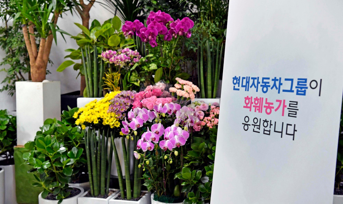 ▲정의선 현대차그룹 회장이 '플라워 버킷 챌린지'에 동참했다.  (출처=현대차그룹 페이스북)