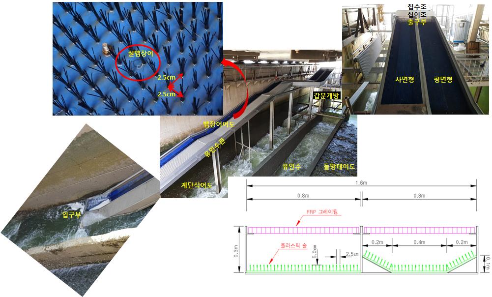 ▲금강 하굿둑에 설치한 뱀장어 전용 어도. (자료제공=한국농어촌공사)