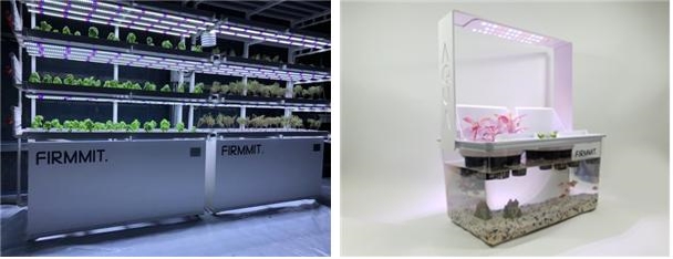 ▲퍼밋이 개발한 모듈형 식물공장(왼쪽)과 가정용 아쿠아포닉스 시스템. (사진제공=농림축산식품부)