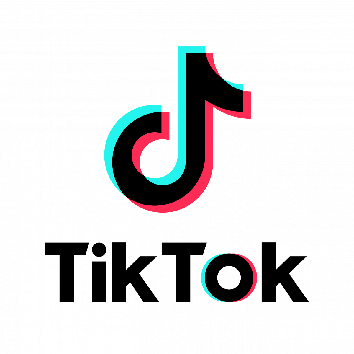 (사진제공=틱톡)