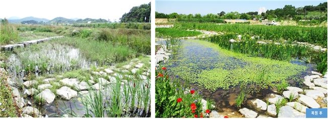 ▲생태복원 사업을 통해 생태습지가 조성된 충남 부여군 왕포천. (사진제공=환경부)