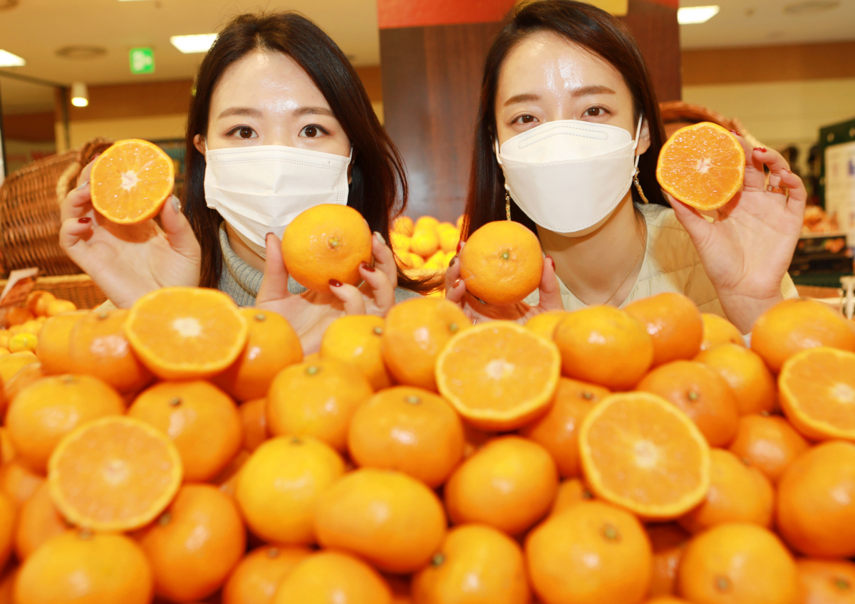 ▲25일 중구 봉래동 롯데마트 서울역점에서 모델들이 '타이벡 감귤'을 소개하고 있다. (사진제공=롯데마트)