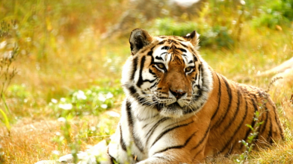 ▲'신계숙의 맛터사이클 다이어리'(사진제공=EBS1)