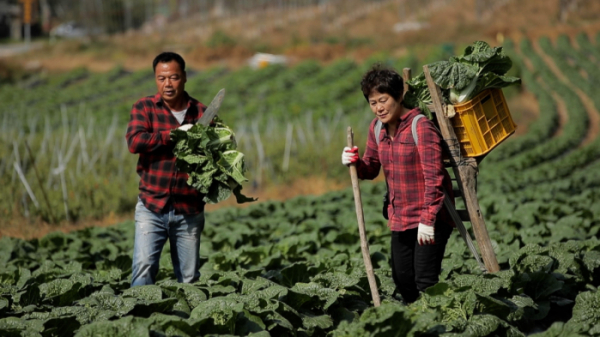 ▲'신계숙의 맛터사이클 다이어리'(사진제공=EBS1)
