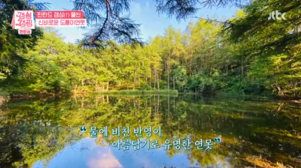 ▲'도롱이 연못' 갬성캠핑(사진제공=JTBC)