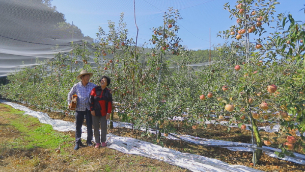 ▲EBS '한국기행'(사진제공=EBS1)