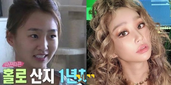 (이미지출처=MBC 나혼자 산다 / 효린 인스타그램)