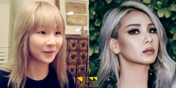 (이미지출처=온라인 커뮤니티 / CL 팬페이지)