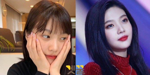(이미지출처=조이 인스타그램 / 조이 팬페이지)
