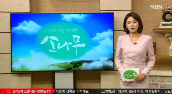 ▲MBN '소나무'(사진제공=MBN)