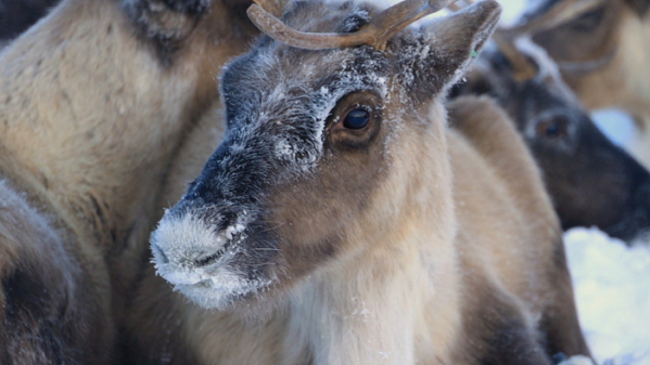 ▲'세계테마기행'(사진제공=EBS1)