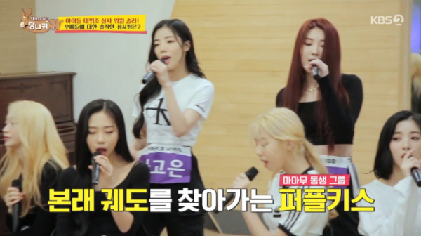 ▲퍼플키스(사진=KBS2 '사장님 귀는 당나귀 귀' 방송화면 캡처)