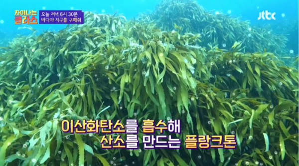 ▲‘차이나는 클라스’(사진제공=JTBC)