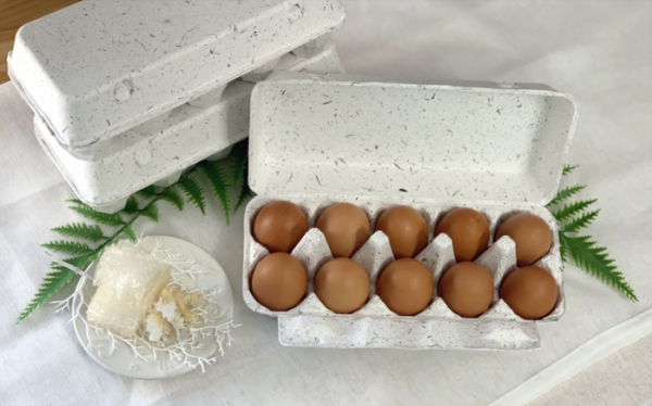 ▲마린이노베이션이 해조류 부산물로 만든 계란판 (사진제공=SK이노베이션)