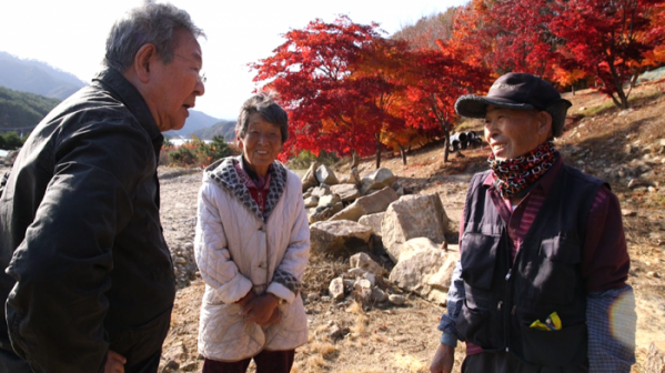 ▲'한국인의 밥상'(사진제공=KBS 1TV)
