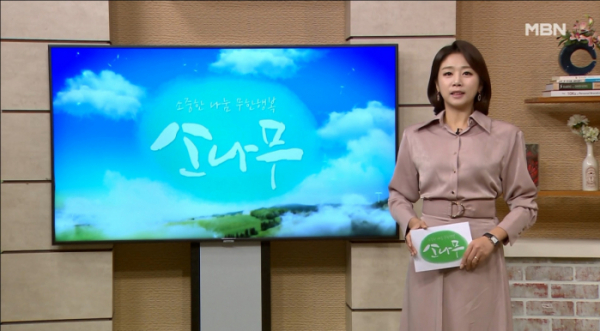 ▲MBN '소나무' (사진제공=MBN)