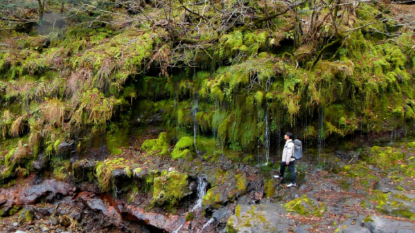 ▲'아주 각별한 기행'(사진제공=EBS1)