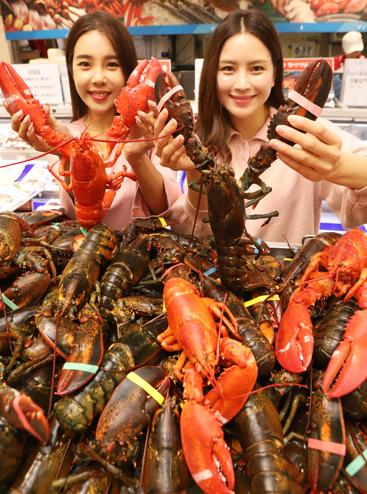 (사진제공=롯데쇼핑)